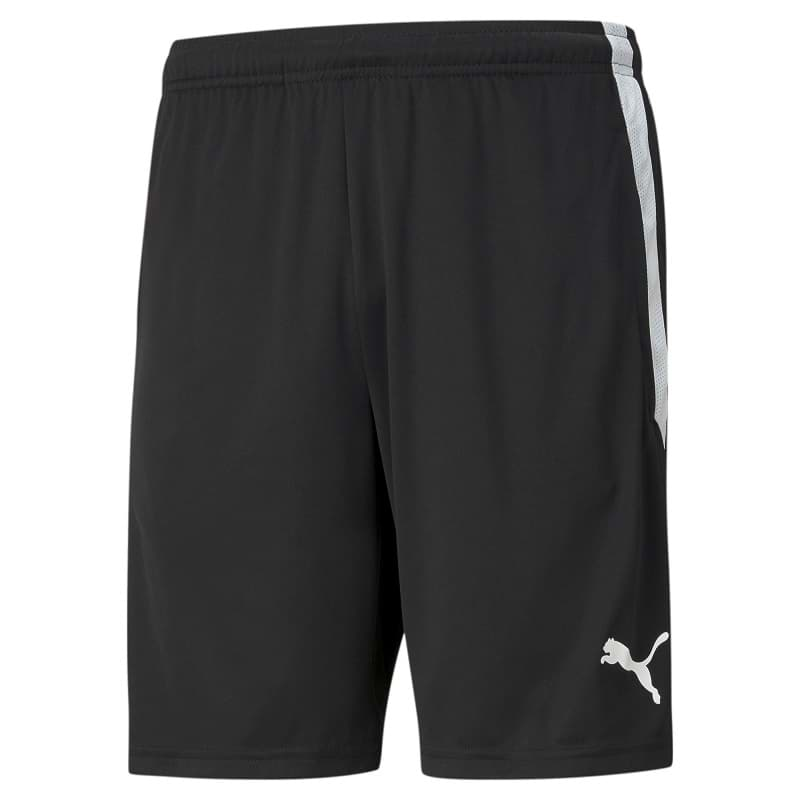 Bild von Puma teamLiga Training Short 