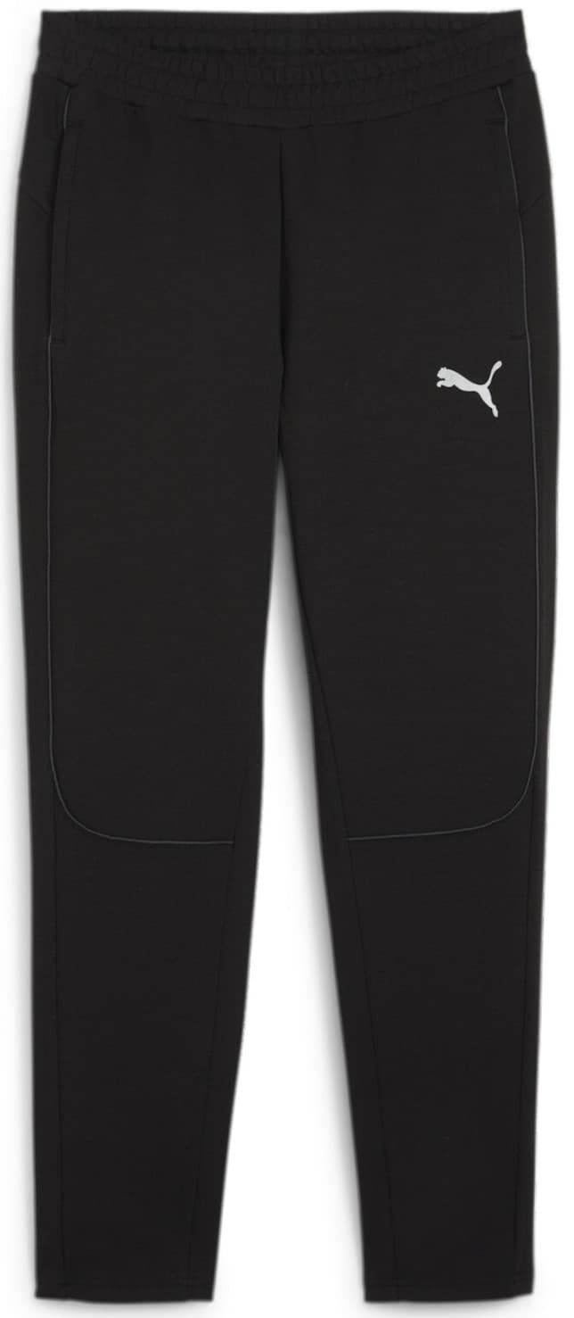 Bild von Puma teamFinal Casuals Pant