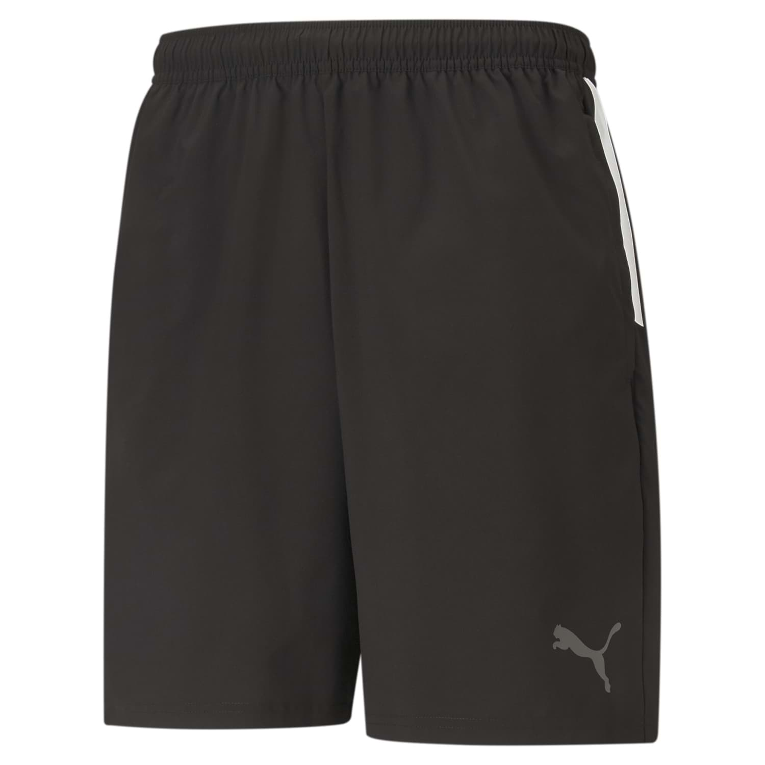 Bild von Puma teamLiga Sideline Short 